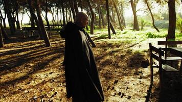 Sunlight on a Wizard Walking in the Forest video