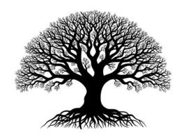 Trees and root with leaves silhouette for Tree of life concept. vector