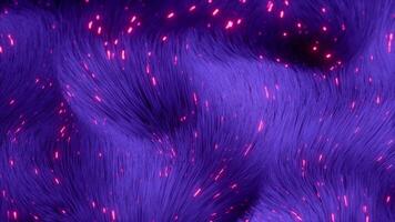 Cosmic Pulse Glowing Fiber Flow in Violet Motion Loop Animated video