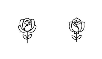Two roses are drawn in a line style vector
