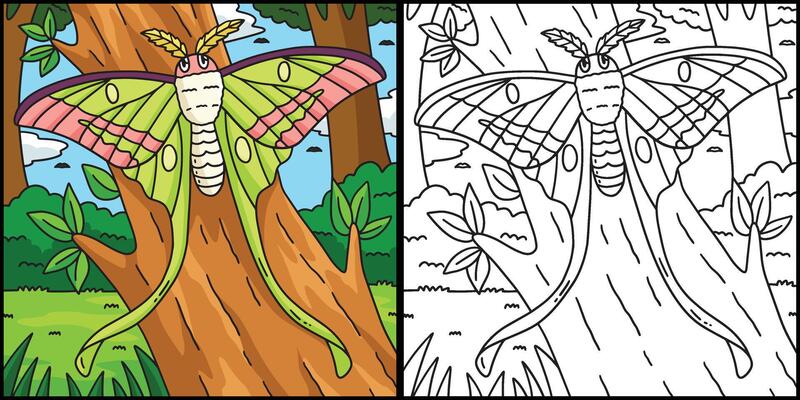 Insect Luna Moth Animal Colored Illustration