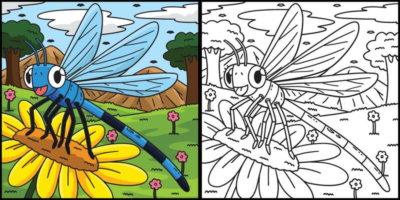 Insect Damselfly Animal Colored Illustration