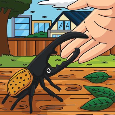 Insect Hercules Beetle Colored Cartoon