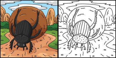 Insect Dung Beetle Animal Colored Illustration vector