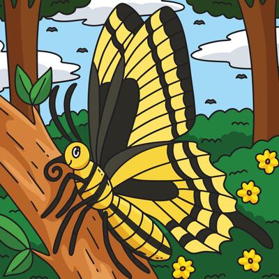 Insect Swallowtail Butterfly Animal Colored