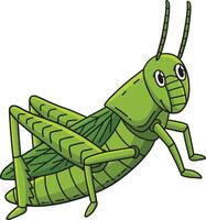 Insect Grasshopper Animal Cartoon Colored Clipart vector