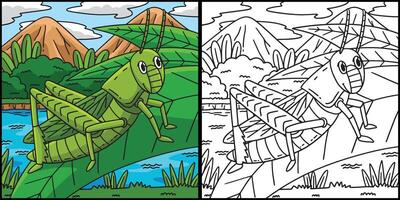 Insect Grasshopper Animal Colored Illustration vector