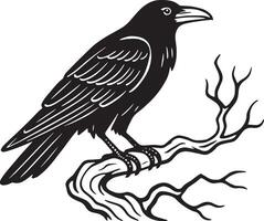 a black crow sitting on a branch vector