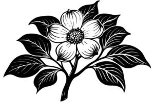 Elegant Black and White Dogwood Blossom Illustration A Detailed Artistic Rendering of a Spring Flower in Full Bloom vector