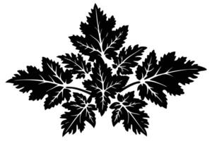 Dramatic Black and White Silhouette of Lush, Intricate Foliage Branch Against a Clean White Background, Evoking a Sense of Mysterious Elegance vector