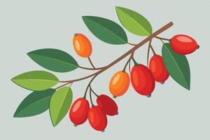 Vibrant Autumn Branch with Ripe Red and Orange Berries Hanging Down Against a Calm Grey Background vector