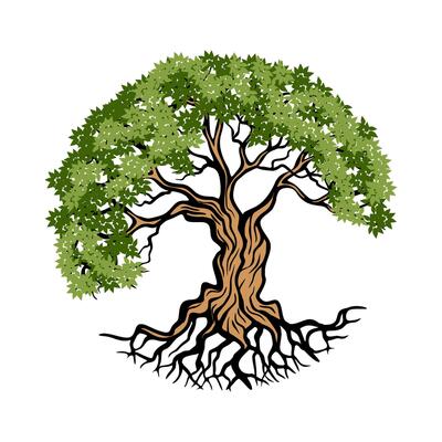 Tree root circle shape. Tree Leaf Family illustration, Banyan tree, vintage style