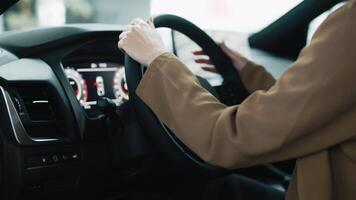 A young businesswoman grips the steering wheel of a modern new car. Concept confidence and ambition reflected in the choice of a new prestigious vehicle. video