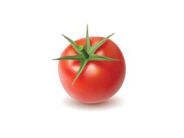 Fresh red tomato with green leaves vector