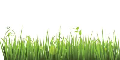 green grass borders, seamless horizontally, isolated on white background vector
