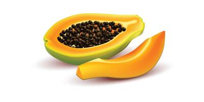 Fresh sliced papaya with seeds vector