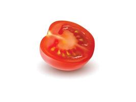 Sliced fresh tomato half vector
