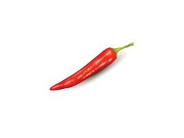 Fresh red chili pepper image vector