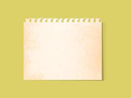 Realistic crumpled paper scraps with torn edges. Shreds of notebook, book or old newspaper pages vector