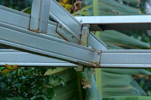 Metal Structure with Greenery Abstract View of Frame photo