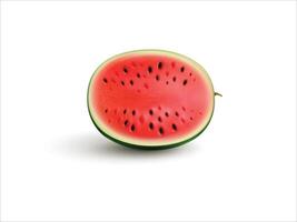 Half of a ripe watermelon vector