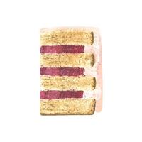 A piece of sponge cake with berry filling. Watercolor illustration. An isolated object from a large set of SWEETS. For decoration, design and compositions of menus, recipes, kitchen accessories. vector