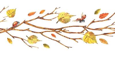 Seamless border pattern hand painted with watercolor depicting brown tree branches with yellow autumn birch leaves and ladybugs. Delicate autumn illustration floral garland for various seasonal decor vector