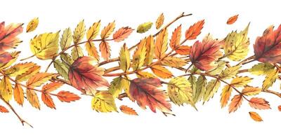 Watercolor illustration of a seamless autumn frame with tree branches, bright red and yellow rowan, maple and birch leaves. Hand-drawn natural elements are perfect for seasonal decor and design vector