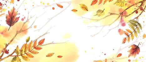 Hand painted autumn template with branches, rowan, maple, birch leaves and delicate watercolor splashes. Warm illustration for seasonal text, cards and invitations and autumn decor and design vector