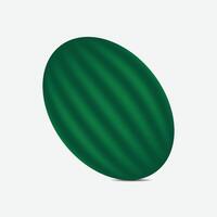 a green watermelon on a white background vector
