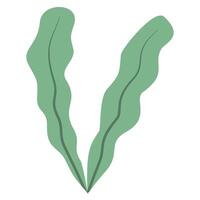 green leaf in jungle vector