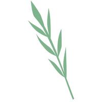 green leave hand drawn vector