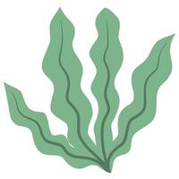 spring green leaf vector