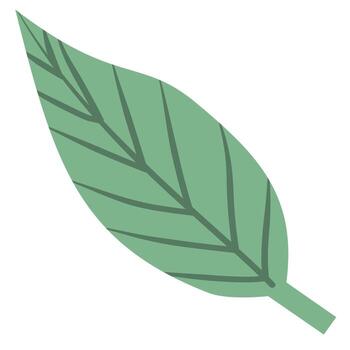 simple green leaf vector