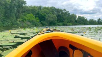 Kayak moving on calm river water with water lilies and trees video