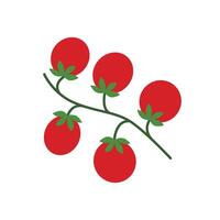 Branch with ripe cherry tomatoes clip art vector