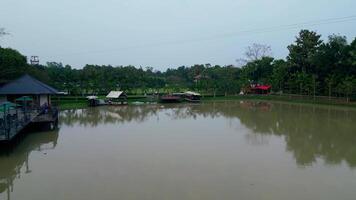 Tranquil Lake Surrounded by Trees video