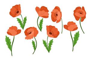 Red poppy flowers with green leaves, hand drawn in flat minimal style. Symbol of remembrance and delicate natural beauty concept vector