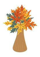 Autumn maple leaves bouquet in a vase hand drawn in colorful style on white background. Concept of fall season decoration and cozy home atmosphere vector