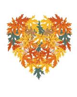 Heart shape made of colorful autumn leaves, hand drawn in flat decorative style. Concept of love, fall season and natural beauty. vector
