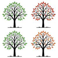 Four Seasons of Trees A Visual Representation of Spring Summer Autumn and Winter with Leaf Coloration and Bare Branches vector