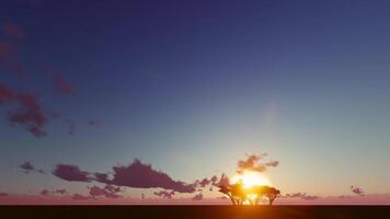 A sunset with a lone tree in the distance video