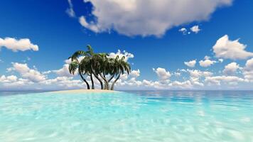 Tropical island with palm trees and blue sky video