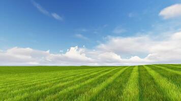 Green field with blue sky and clouds video