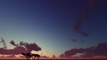 A sunset with clouds and trees in the distance video