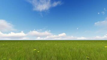 A grassy field with blue sky and clouds video