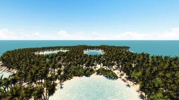 An island with palm trees and water in the middle video