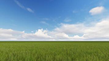 A grassy field with clouds and blue sky video