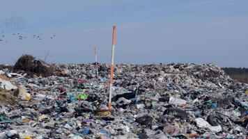 Mountains of waste fill the barren area, showcasing the urgent need for better waste management as pollution reaches alarming levels video
