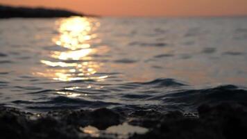 Ocean sunset coast silhouette and wave splash, slow motion video